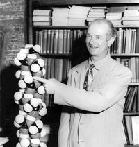 With an alpha-helix model, late 1950s